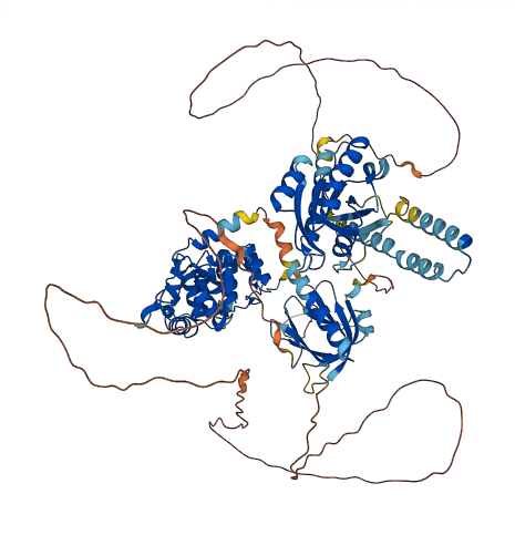 AGAP1 3D structure