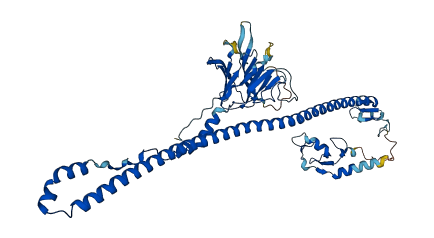 TRIM35 3D structure