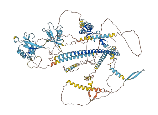 PDZRN3 3D structure