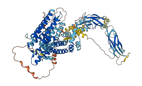SLC8A2 3D structure