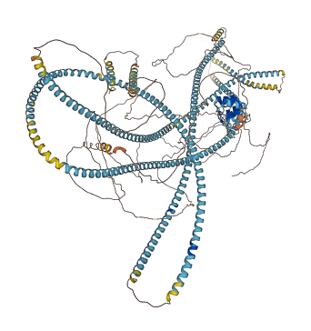 ANKRD26 3D structure