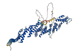 EXOC7 3D structure