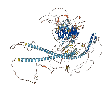 MAPK8IP3 3D structure