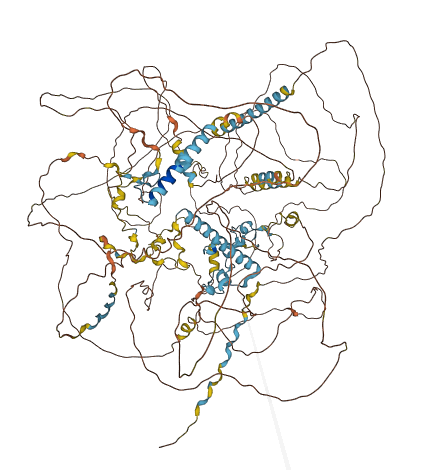 ZC3H4 3D structure