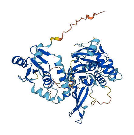 USP22 3D structure