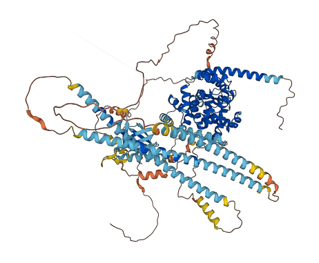 TBC1D2B 3D structure