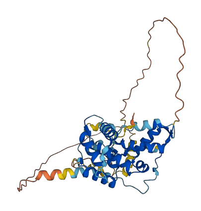 PHF24 3D structure