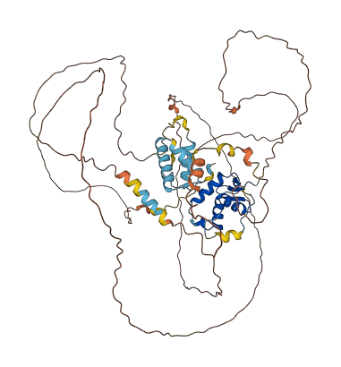 FOXJ3 3D structure