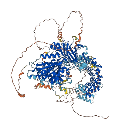 AGTPBP1 3D structure