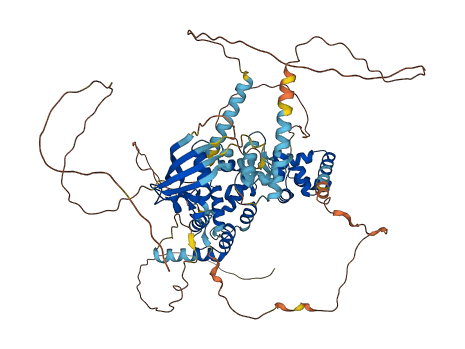 SATB2 3D structure