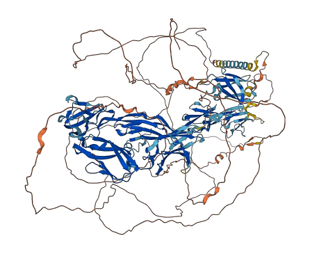 IGSF9B 3D structure