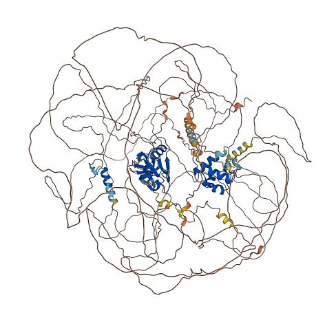 SHANK2 3D structure