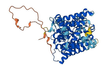 SLC7A11 3D structure