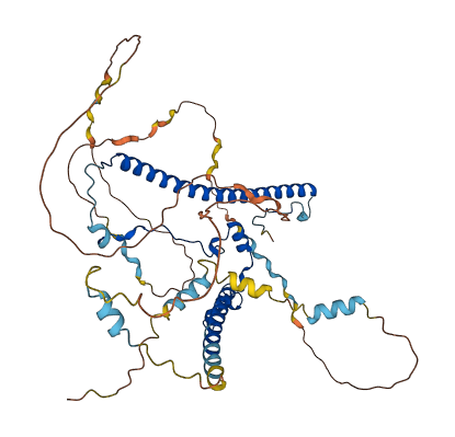 WASF3 3D structure
