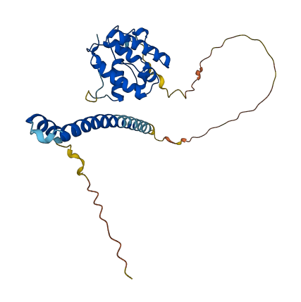 MAPRE3 3D structure