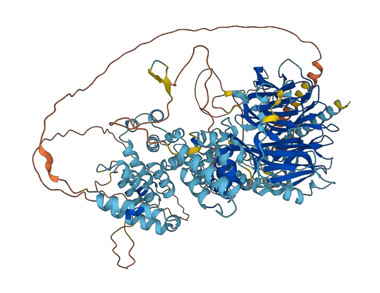 HPS5 3D structure