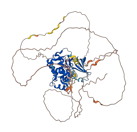 CILK1 3D structure