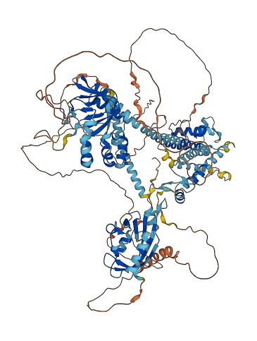 KCNH4 3D structure