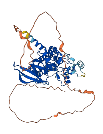 MOK 3D structure