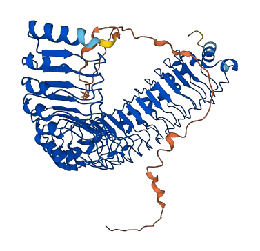 SHOC2 3D structure