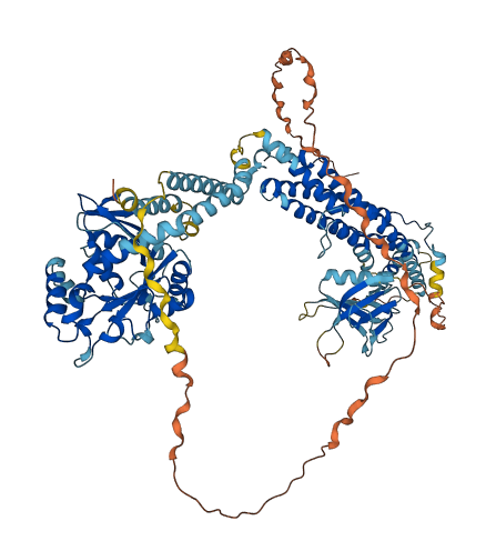 DNM3 3D structure