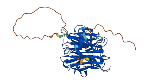 NEU3 3D structure