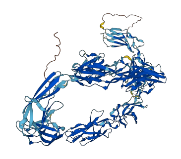 CNTN6 3D structure