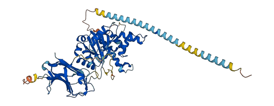 MGAT4B 3D structure
