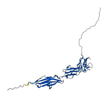 PSG11 3D structure