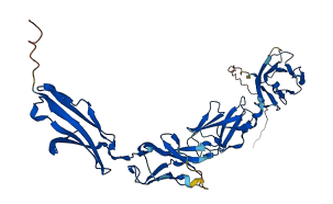 PSG8 3D structure