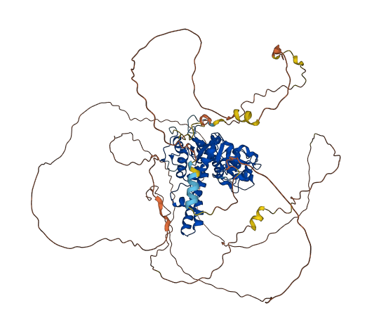 EXO1 3D structure