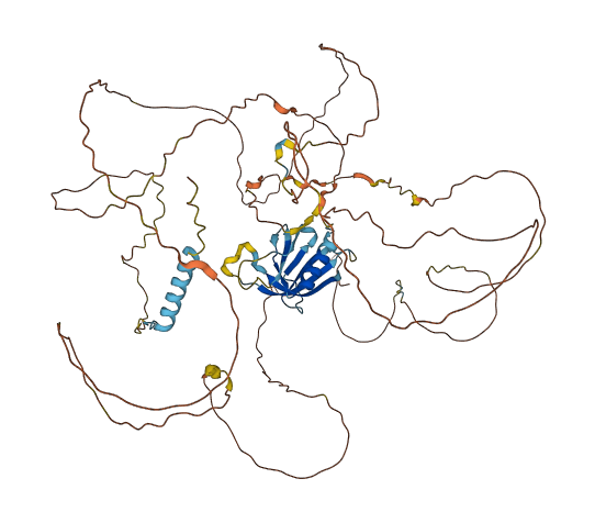 GAB2 3D structure