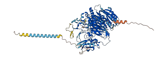 CLCA2 3D structure