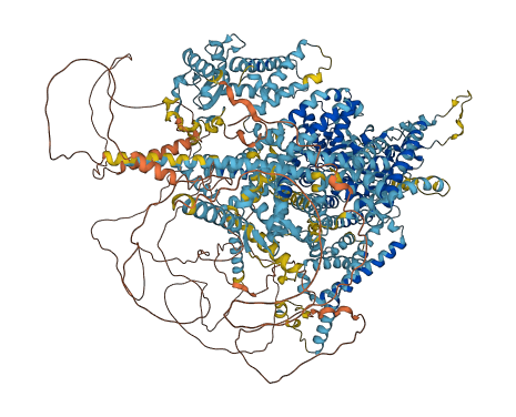 SCN8A 3D structure