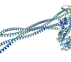 SMC3 3D structure