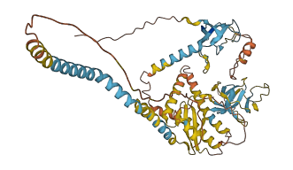 ERVW-1 3D structure