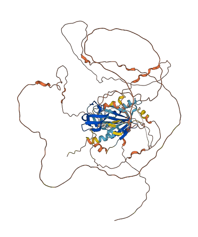 MAPK8IP1 3D structure