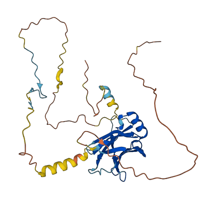 PPP1R3C 3D structure