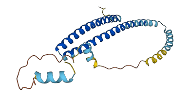 CHMP2B 3D structure