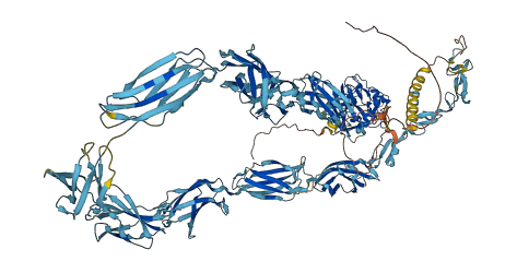 TNN 3D structure