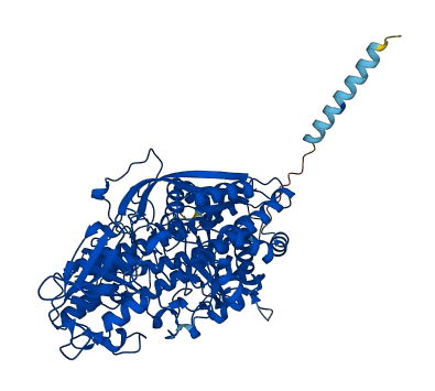 NAALADL1 3D structure