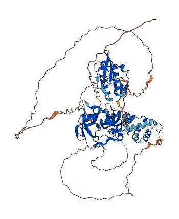 SCML2 3D structure