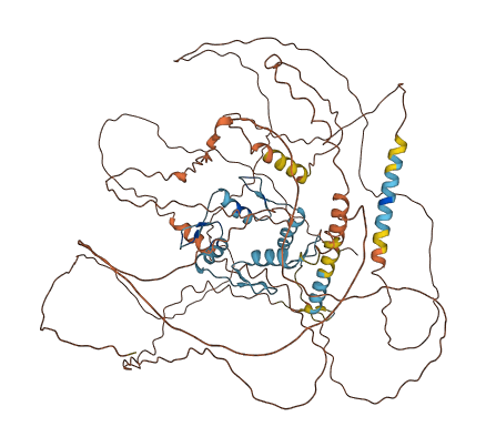 ZNF148 3D structure