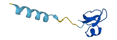Defb3 3D structure