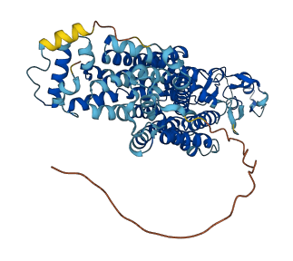 Slc22a21 3D structure