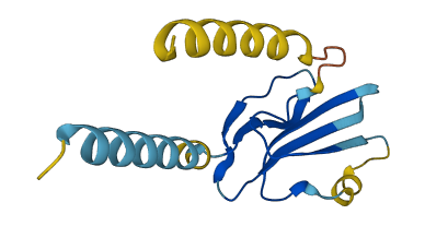 Ly6i 3D structure