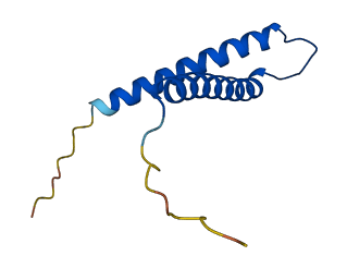 Timm8a1 3D structure