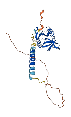 Clec2i 3D structure