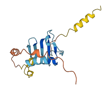Cxcl15 3D structure
