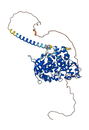 MTMR7 3D structure
